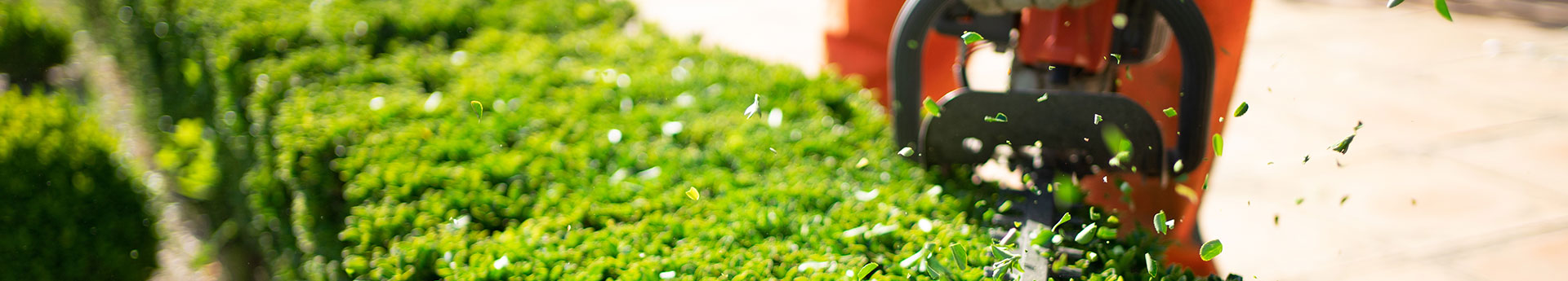 Entretien d'espaces verts à Sarrebourg